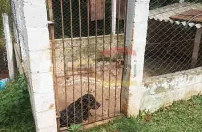 Chácara / sítio com 6 quartos à venda na Est Ouro Fino Pedra Branca, Ouro Fino, Santa Isabel