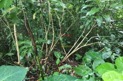 Terreno na serra da cantareira, localização maravilhosa!