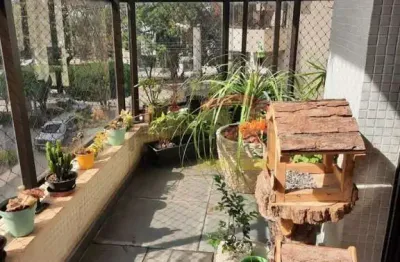 Apartamento reformado em santana, na avenida braz leme, 3 dormitórios, suíte, 2 vagas, lazer