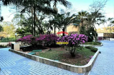 Apartamento no barro branco ,próximo maple bear , colégio jd. são paulo