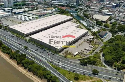 Barracão / Galpão / Depósito para alugar na Avenida Morvan Dias de Figueiredo, 3535, Vila Maria, São Paulo