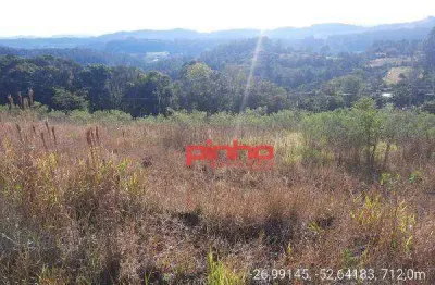 Terreno à venda, 1.563,98m² por r$ 251.793 - centro - cordilheira alta/sc