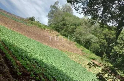 Chácara / sítio à venda no Galópolis, Caxias do Sul 