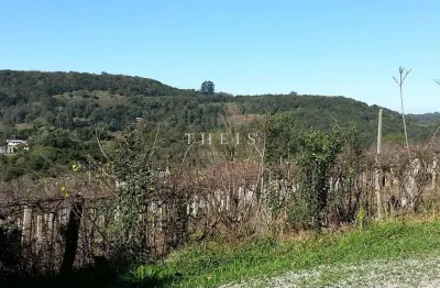 Chácara / sítio com 1 quarto à venda no Desvio Rizzo, Caxias do Sul 