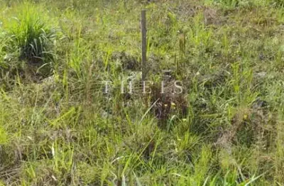 Terreno à venda no Desvio Rizzo, Caxias do Sul 