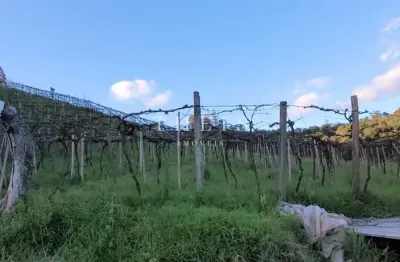 Chácara / sítio à venda no Kayser, Caxias do Sul 