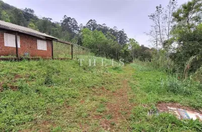 Chácara / sítio com 2 quartos à venda na Vila Cristina, Caxias do Sul 