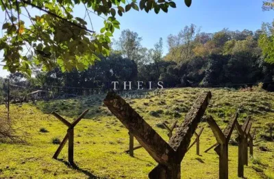 Chácara / sítio com 2 quartos à venda no Monte Bérico, Caxias do Sul 