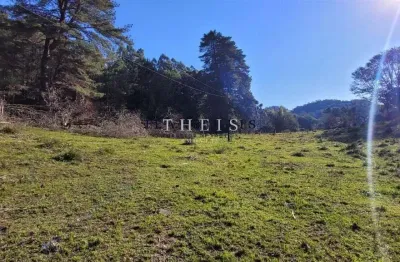 Chácara / sítio com 2 quartos à venda no Monte Bérico, Caxias do Sul 