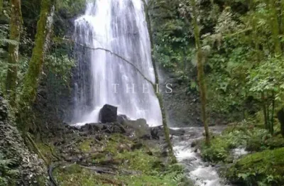 Chácara / sítio com 1 quarto à venda no Maestra, Caxias do Sul 