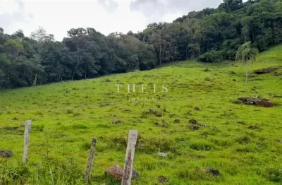 Chácara / sítio com 1 quarto à venda na Zona Rural, Caxias do Sul 