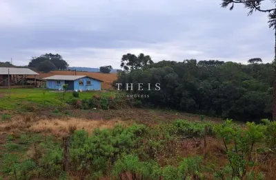 Chácara / sítio com 2 quartos à venda na Zona Rural, Caxias do Sul 