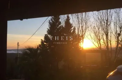 Chácara / sítio com 3 quartos à venda no Centro, Flores da Cunha 