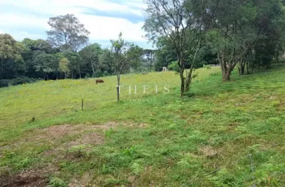 Chácara / sítio com 2 quartos à venda no São Pedro da Terceira Légua, Caxias do Sul 