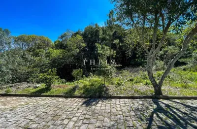 Terreno à venda na Nossa Senhora das Graças, Caxias do Sul 