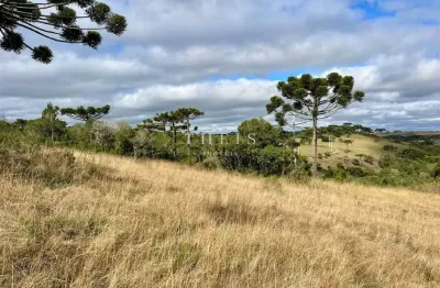 Chácara / sítio com 1 quarto à venda em Criúva, Caxias do Sul 