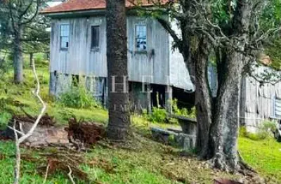 Chácara / sítio com 1 quarto à venda na Fazenda Souza, Caxias do Sul 