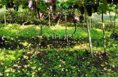 Chácara / sítio com 3 quartos à venda na Nossa Senhora das Graças, Caxias do Sul 