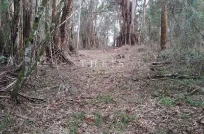 Chácara / sítio à venda no Pedras Brancas, São Marcos 