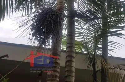 Casa com 5 quartos à venda na Rua Pedro Pregnolato, Bela Vista, Osasco
