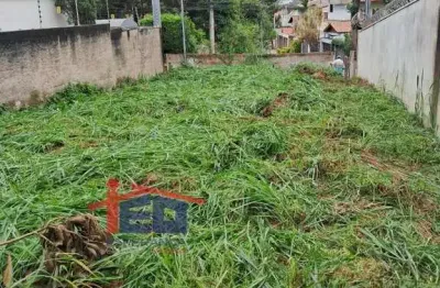Terreno à venda na Rua Doutor Aires Martins Torres, Cidade São Francisco, São Paulo
