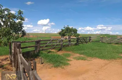 Fazenda à venda na Rua Coelho Neto, 1000, Vila São Paulo, Araçatuba