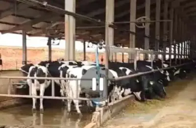 Fazenda à venda na Avenida Antônio Olinto, 1000, Centro, Curvelo