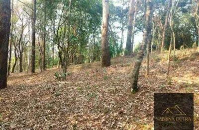 Terreno comercial à venda na Estrada Haroldo Soares Glavan, Cacupé, Florianópolis
