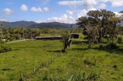 Terreno à venda, 125000 m² por r$ 9.000.000,00 - ratones - florianópolis/sc