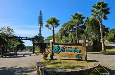 Terreno à venda, 3333 m² por r$ 1.450.000,00 - ratones - florianópolis/sc