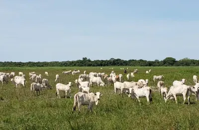 Fazenda à venda na Rua Coronel de Arruda Pinto, 45, Zona Rural, Santo Antônio do Leverger