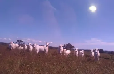 Fazenda com 2 salas à venda na Rua Principal, S/N°, Zona Rural, Poxoréu