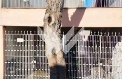 Oportunidade de Compra Sobrado Residencial - Parque Edu Chaves - São Paulo/SP