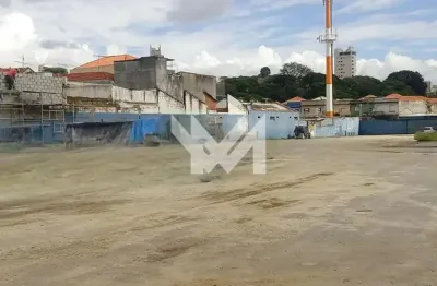 Terreno comercial para alugar na Rua dos Camarés, 155, Carandiru, São Paulo