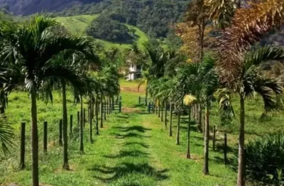 Vendo sítio espetacular com 5 dormitórios na serra da cruz em macaé