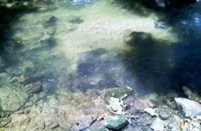 Terreno à venda na Barra do Sana, Macaé 