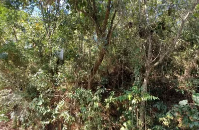 Chácara / sítio com 1 quarto à venda na Vereda das Figueiras, Retiro Vale do Sol, Embu das Artes