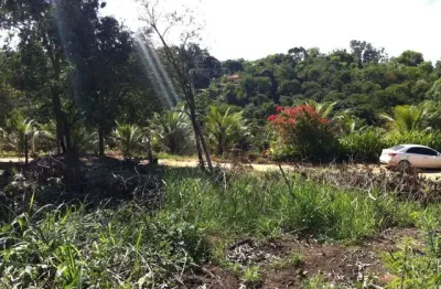 Chácara / sítio à venda na Avenida das Hortências, 111111, Comunidade Urbana de Lagoa Dourada, Guarapari