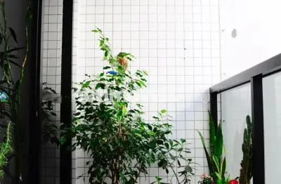 Apartamento com 1 quarto à venda na Rua Vitória Tackla, 11111, Mata da Praia, Vitória