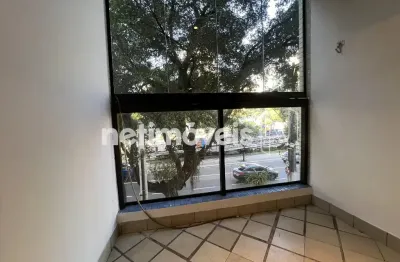 Lindo e amplo 03 qtos suíte 2 varandas elevador oportunidade