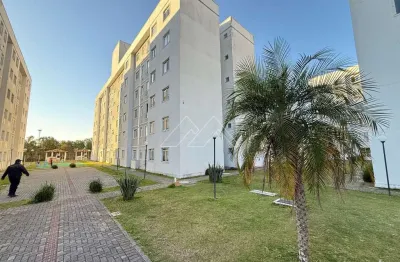Apartamento com 2 quartos à venda na Rua Anneliese Gellert Krigsner, 2001, Afonso Pena, São José dos Pinhais