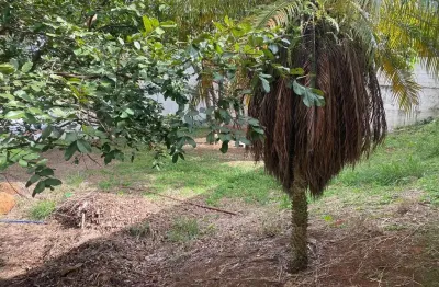 Terreno à venda no Parque Residencial Nirvana, Atibaia 