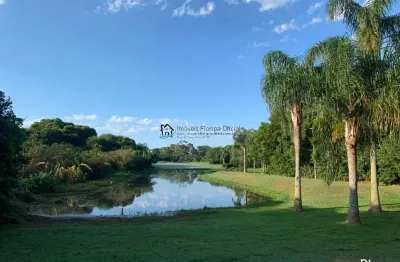 Terreno à venda no são joão do rio vermelho, florianópolis , 850 m2 por r$ 569.900