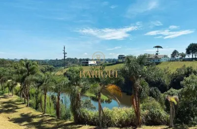 Terreno em condomínio fechado à venda na rodovia br-277 curitiba-ponta grossa, 7291, riviera, curitiba por r$ 1.938.000