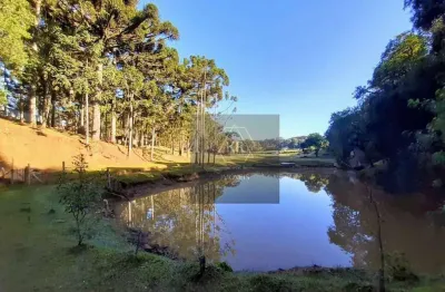 Chácara á venda em marmeleiro - almirante tamandaré