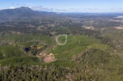 Fazenda à venda na avenida dom pedro ii, 5893, palmitalzinho, quatro barras, 3571400 m2 por r$ 21.000.000