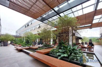 Sala comercial para alugar na rodovia doutor antônio luiz moura gonzaga, --, rio tavares, florianópolis, 38 m2 por r$ 2.700