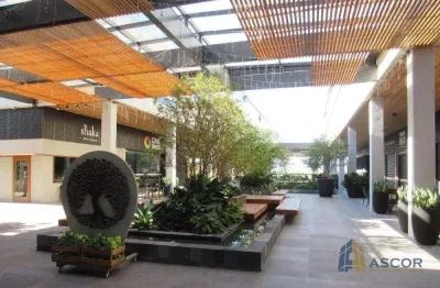 Sala comercial para alugar na rodovia doutor antônio luiz moura gonzaga, --, rio tavares, florianópolis, 38 m2 por r$ 2.700