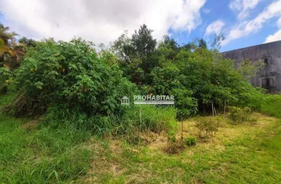 Terreno à venda na Rua Lessa Paranhos, --, Parque do Terceiro Lago, São Paulo