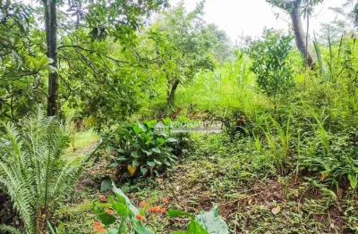 Chácara / sítio com 2 quartos à venda na Estrada do Caibro, --, Barragem, São Paulo